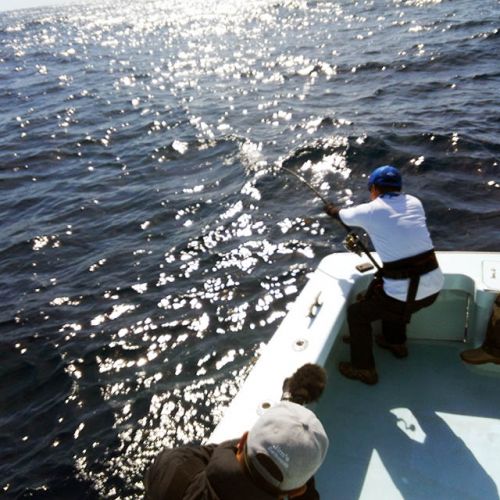 Tuna Duck Sportfishing, Giant Tunas Win