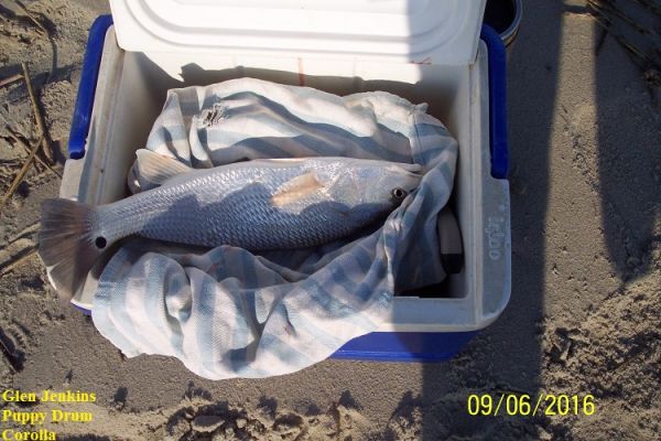 TW’s Bait & Tackle, Daily Fishing Report