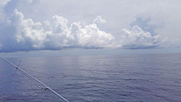 Tuna Duck Sportfishing, Beautiful Day in the Gulf Stream