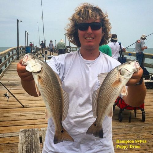 TW’s Bait & Tackle, Daily Fishing Report