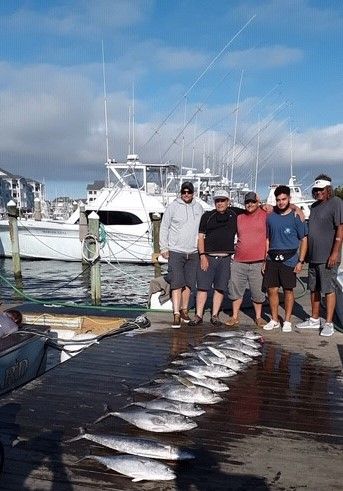 Pirate's Cove Marina, Tuna Tuesdays!