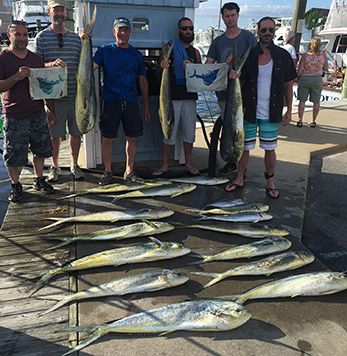 Tuna Duck Sportfishing, Sailfish Releases and Gaffers