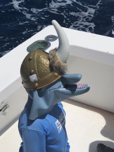 Bite Me Sportfishing Charters, Hatteras Grand Slam Tournament Day One Report!