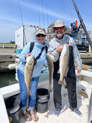 Hatteras Harbor Marina, Limits of Red Drum