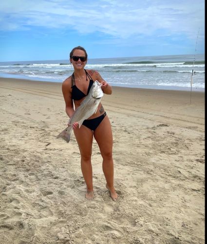 OBX Bait & Tackle Corolla Outer Banks, Corolla Fish Report