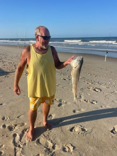 OBX Bait & Tackle Corolla Outer Banks, Corolla Fish Report