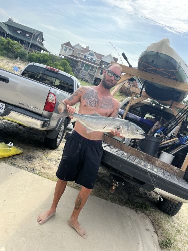 OBX Bait & Tackle Corolla Outer Banks, Corolla Fish Report