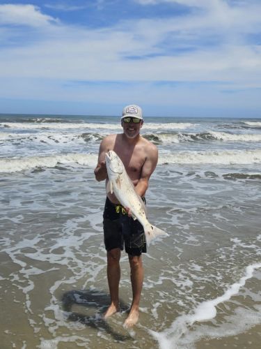 OBX Bait & Tackle Corolla Outer Banks, Corolla Fish Report