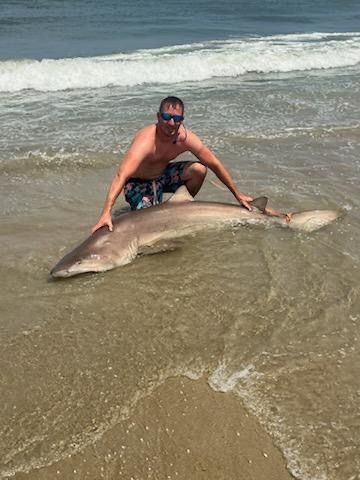 OBX Bait & Tackle Corolla Outer Banks, Corolla Fish Report