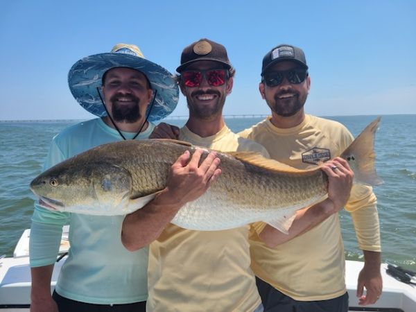 OBX Bait & Tackle Corolla Outer Banks, Corolla Fish Report