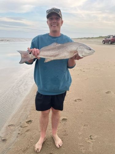 OBX Bait & Tackle Corolla Outer Banks, Corolla Fish Report