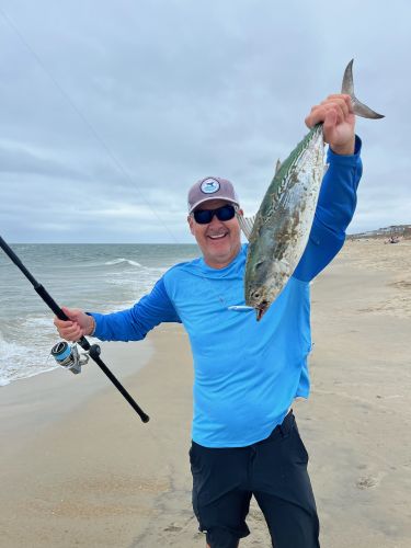 OBX Bait & Tackle Corolla Outer Banks, Corolla Fish Report