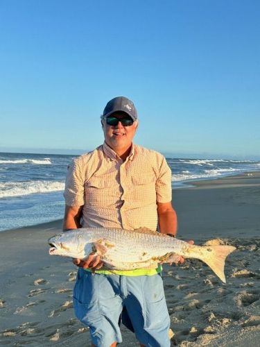 OBX Bait & Tackle Corolla Outer Banks, Corolla Fish Report
