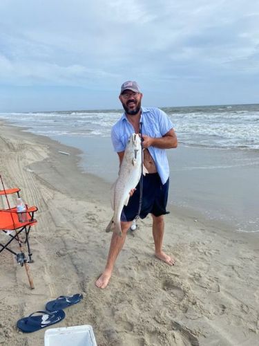 OBX Bait & Tackle Corolla Outer Banks, Corolla Fish report