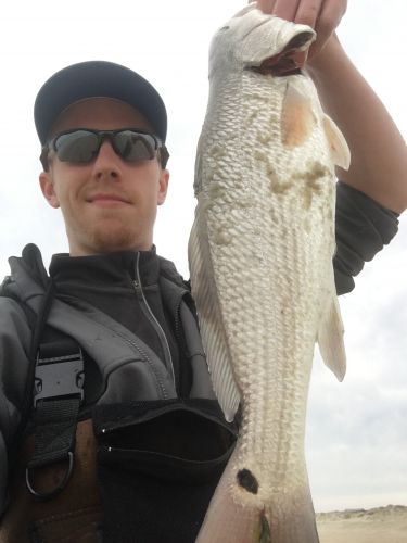 OBX Bait & Tackle Corolla Outer Banks, Corolla Fishing Report