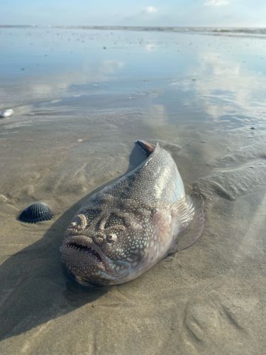 Spring Sale, OBX Bait & Tackle Corolla Outer Banks