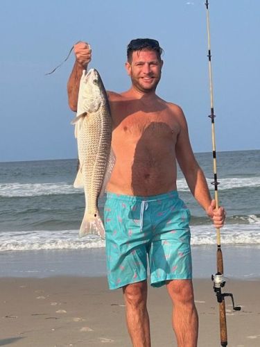 OBX Bait & Tackle Corolla Outer Banks, Corolla Fish Report