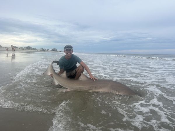 OBX Bait & Tackle Corolla Outer Banks, Corolla Fish Report