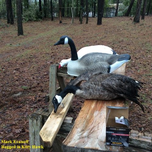 TW’s Bait & Tackle, Daily Fishing Report