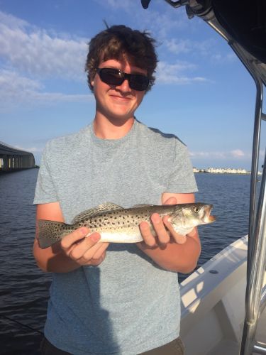 T-Time Charters, Aaryn's trout from a few weeks ago