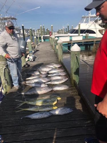Pirate's Cove Marina, Yellowfin..Mahi..and Speckled Trout