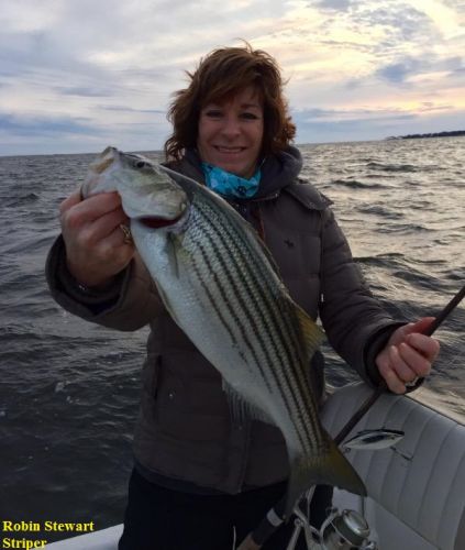 TW’s Bait & Tackle, TW's Daily fishing Report. 1/5/16