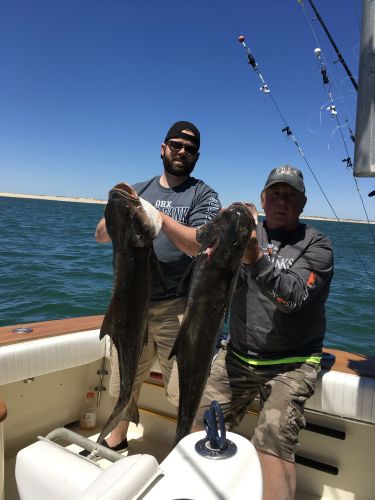 OBX Bait & Tackle Corolla Outer Banks, Corolla Fishing Report