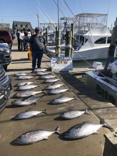 Bite Me Sportfishing Charters, Mo Tuners