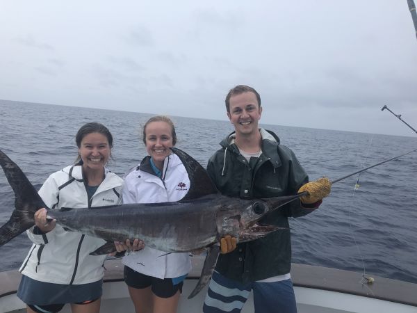 Fish Ocracoke, 6/23 Offshore Report