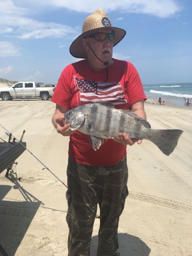 OBX Bait & Tackle Corolla Outer Banks, COROLLA FISH REPORT
