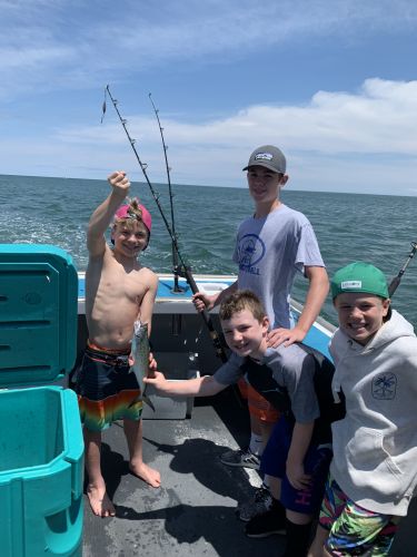 OBX Bait & Tackle Corolla Outer Banks, Corolla Fish Report