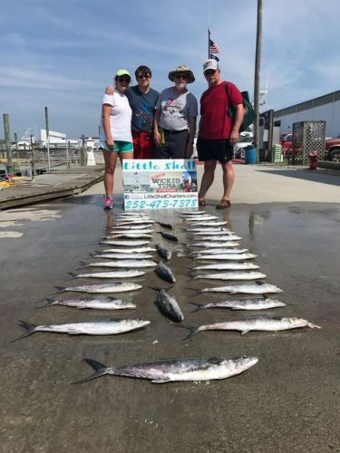OBX Bait & Tackle Corolla Outer Banks, COROLLA FISH REPORT