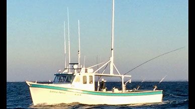 OBX Bait & Tackle Corolla Outer Banks, Corolla Fishing Report