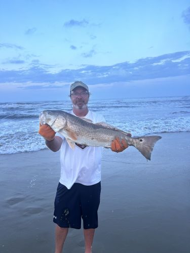 OBX Bait & Tackle Corolla Outer Banks, Corolla Fish Report