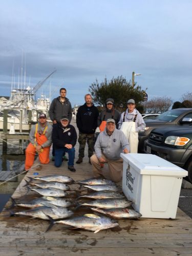 Pirate's Cove Marina, Fishin in The New Year..