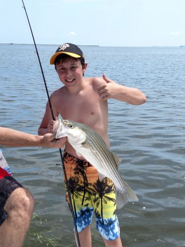 OBX Bait & Tackle Corolla Outer Banks, Corolla Fishing Report