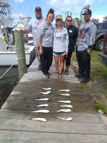 Wanchese Fishing Charters, In where it is come