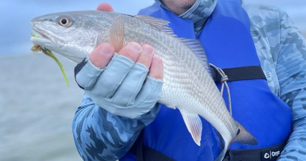 puppy drum obx outer banks fishing Kayak Adventure