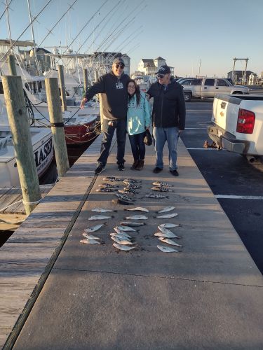 Frank & Fran's Bait & Tackle, Sea mullet picking up more