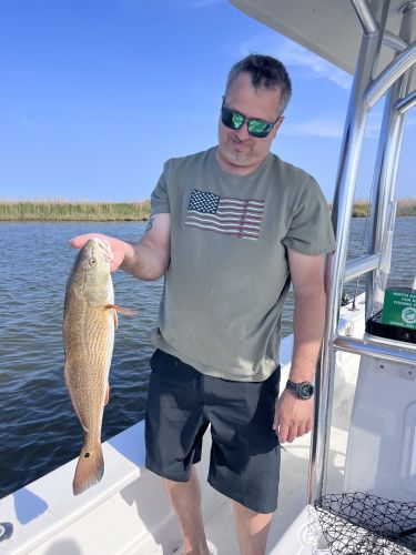 OBX Bait & Tackle Corolla Outer Banks, Corolla Fish Report
