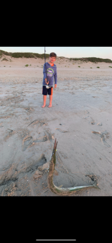 OBX Bait & Tackle Corolla Outer Banks, Corolla Fish Report