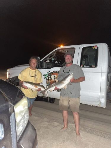OBX Bait & Tackle Corolla Outer Banks, Corolla Fish Report