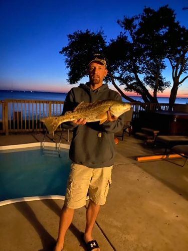 OBX Bait & Tackle Corolla Outer Banks, Corolla Fish Report