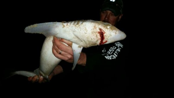 OBX Bait & Tackle Corolla Outer Banks, Great Day in Corolla !