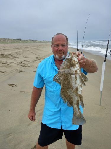 OBX Bait & Tackle Corolla Outer Banks, Fish In Corolla ?