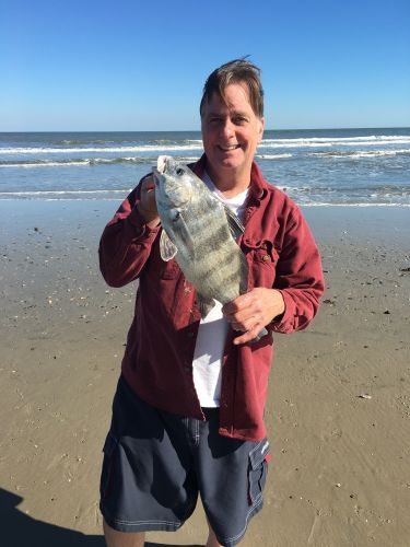 OBX Bait & Tackle Corolla Outer Banks, Corolla Fish Report