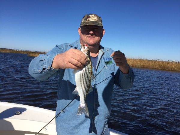 T-Time Charters, Throwback striper