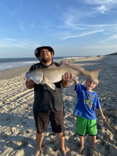 OBX Bait & Tackle Corolla Outer Banks, Corolla Fish report