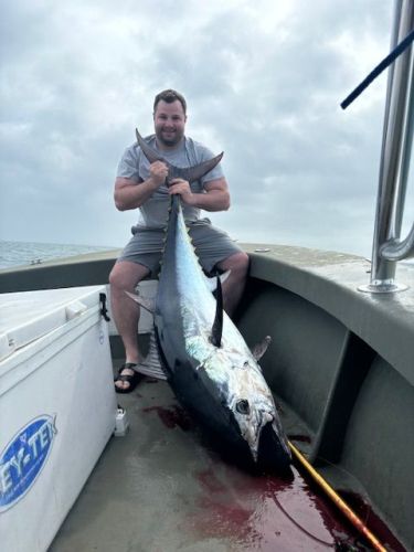 OBX Bait & Tackle Corolla Outer Banks, Corolla Fish Report