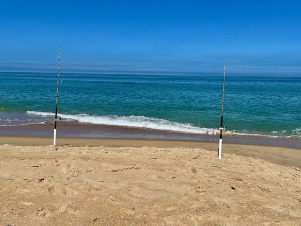 OBX Bait & Tackle Corolla Outer Banks, Corolla Fish Report